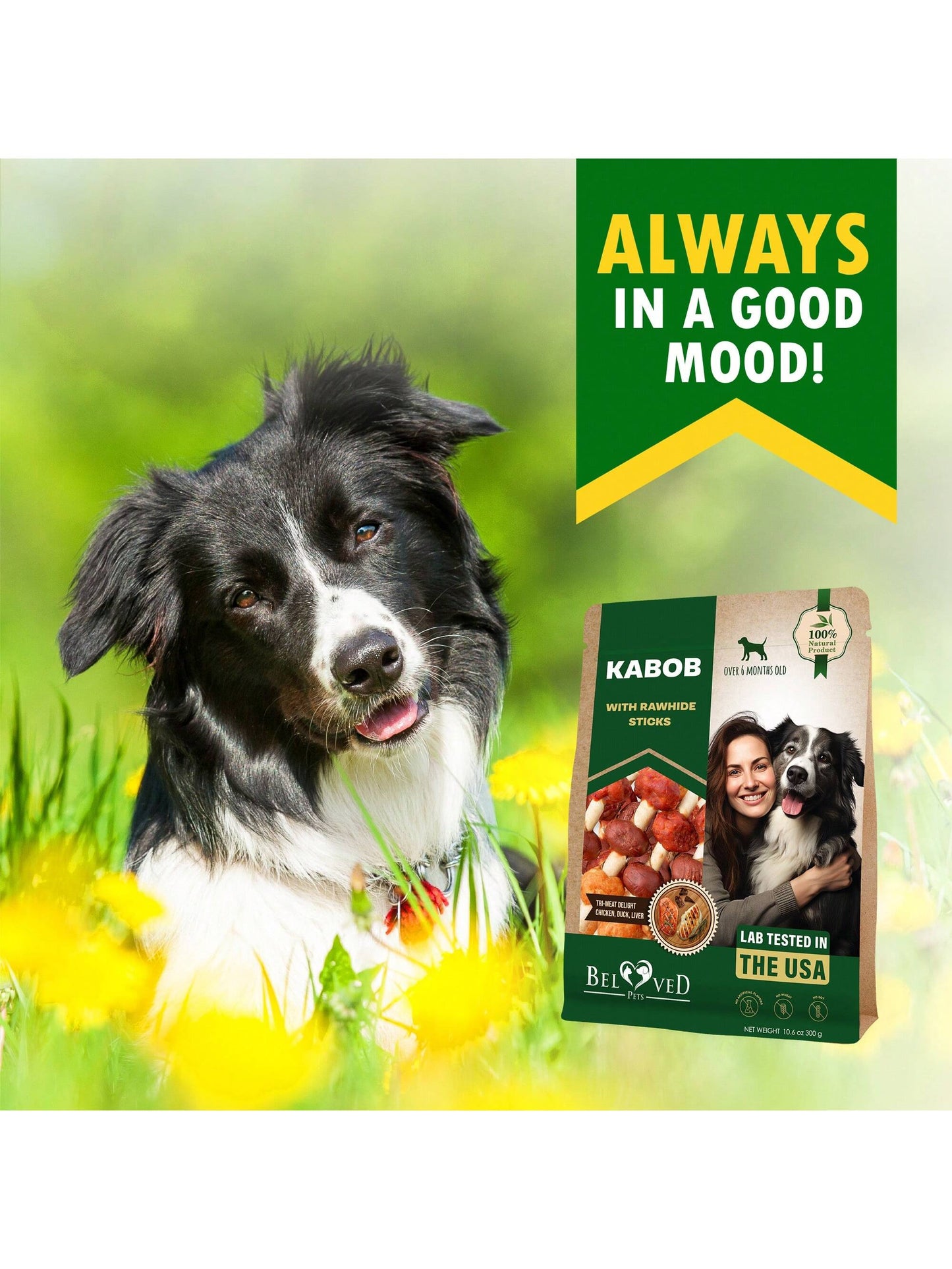 Beloved Pets Kabobs Dog Rawhide Treats With Duck & Chicken Human Grade Meat- Natural Dried Snacks- Grain Free Long Lasting Chews For Large & Small Dogs- Best Sticks For Training & Healthy Teeth- L