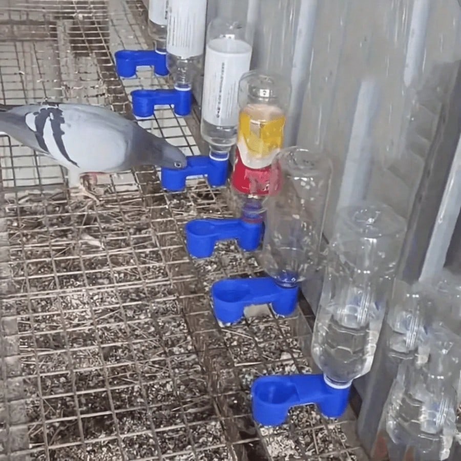1/4 Piece Heavy Duty Blue Feeder And Waterer With Dual Spouts, Gravity Feed System, Made Of PP Material, Suitable For Parrots, Pigeons, Chickens, Caged And Aviary Birds- Fits Various Bottle Interface