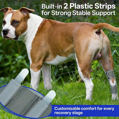 1pc Dog Leg Brace, Suitable For Limb Joint, Wound, Sprain And Arthritis Recovery Treatment