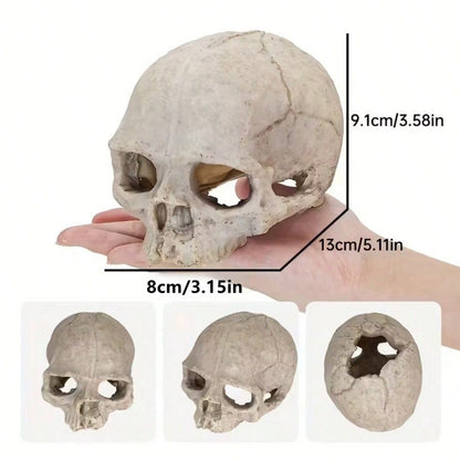1pc Resin Aquarium Decor Skull Ornament, Suitable For Reptiles And Pets