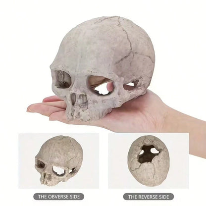 1pc Resin Aquarium Decor Skull Ornament, Suitable For Reptiles And Pets