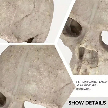 1pc Resin Aquarium Decor Skull Ornament, Suitable For Reptiles And Pets