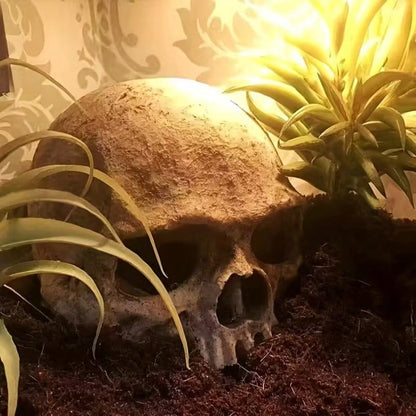 1pc Resin Aquarium Decor Skull Ornament, Suitable For Reptiles And Pets
