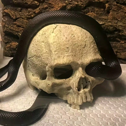 1pc Resin Aquarium Decor Skull Ornament, Suitable For Reptiles And Pets