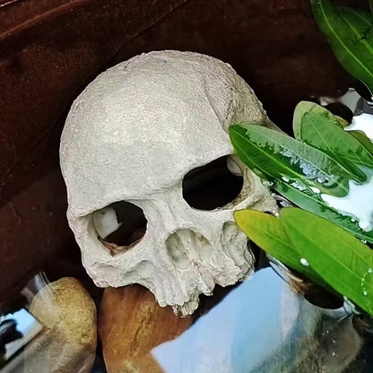1pc Resin Aquarium Decor Skull Ornament, Suitable For Reptiles And Pets