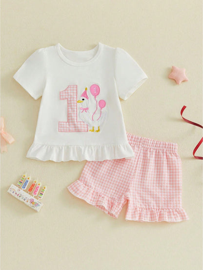 2pcs Newborn Baby 1st Birthday Outfits Girl Shorts Set Short Sleeve Embroidery T-Shirt Tops + Shorts 9M 12M 18M Infant Casual Summer Clothes