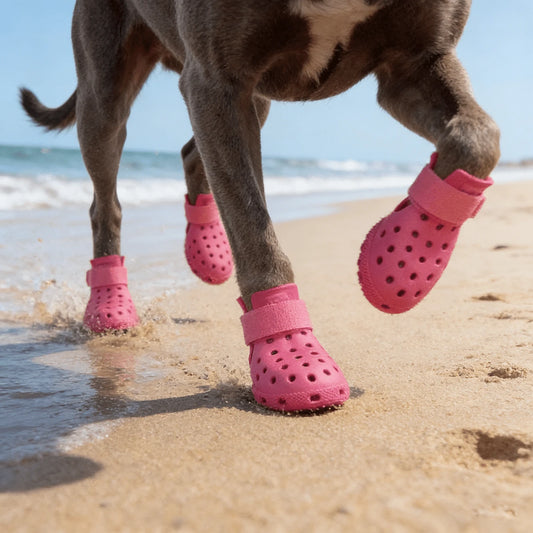 4pcs/Set Fashionable Pet Dog Shoes- Dog Supplies, Suitable For All Seasons, Anti-Slip, Breathable, Elastic, Soft Sole Pet Dog Shoes To Protect Paws And Keep Dogs Happy