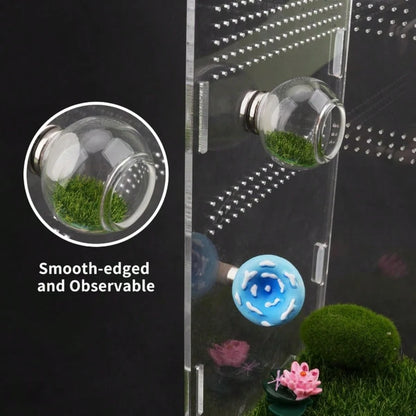 6pcs Jumping Spider Mushroom Platform With Round Transparent Hideout, Transparent Ball Grass Cave, Mesh Moss Vine, Reptile Fence Accessories, Reptile Resting And Exploration Platform, Perfect Habitat