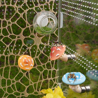 6pcs Jumping Spider Mushroom Platform With Round Transparent Hideout, Transparent Ball Grass Cave, Mesh Moss Vine, Reptile Fence Accessories, Reptile Resting And Exploration Platform, Perfect Habitat