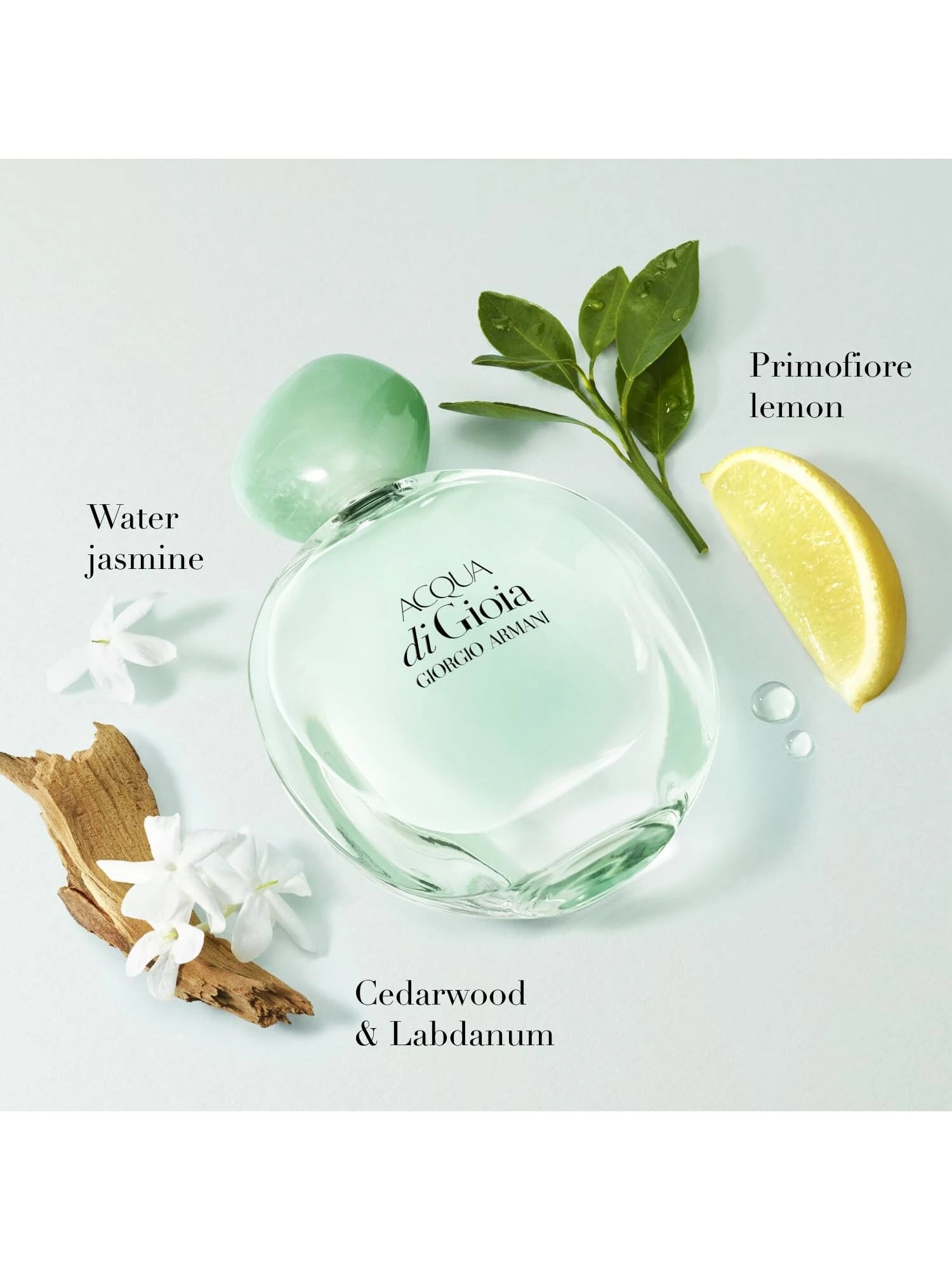 Giorgio Armani Acqua Di Gio 2 Pcs Mini Set (EDP 5ml+EDT 5ml) For Women Mini Set 0.17oz/5ml*2- Perfume For Long Lasting Suitable For Birthday, Office, Gift, Daily Use