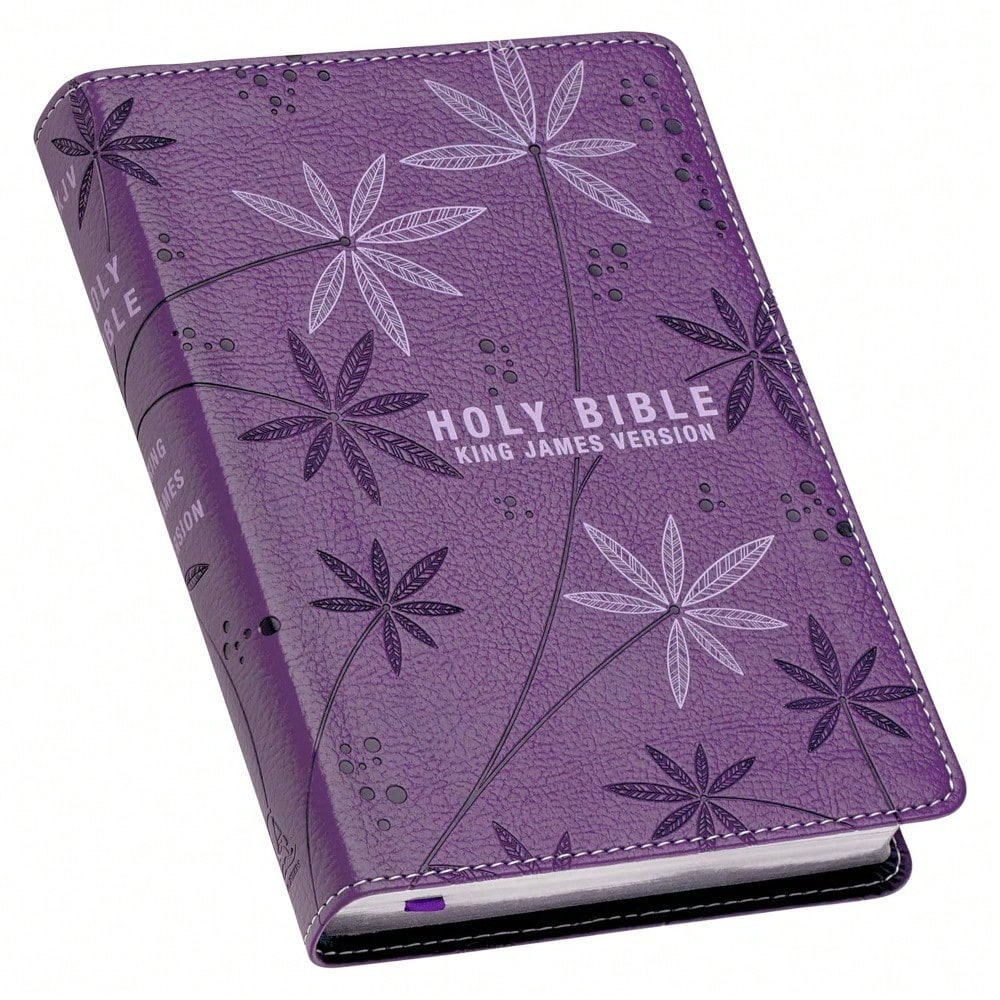 KJV Holy Bible, Compact Faux Leather Red Letter Edition- Ribbon Marker, King James Version, Purple (KJV Compact Editions)