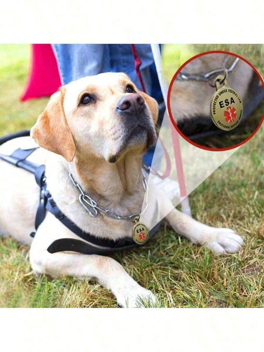 Personalized Engraved Pet ID Tag Stainless Steel Medical Symbol For Dogs Service Animal Collar Pendant Custom 1pc Accessory TN1KValentine's Day Gift For Her YXXS