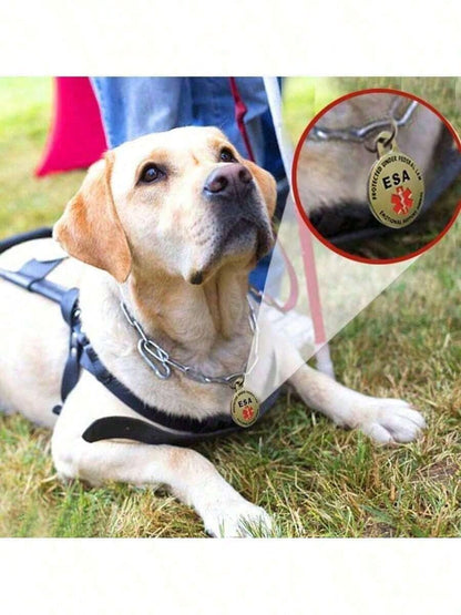 Personalized Engraved Pet ID Tag Stainless Steel Medical Symbol For Dogs Service Animal Collar Pendant Custom 1pc Accessory TN1KValentine's Day Gift For Her YXXS