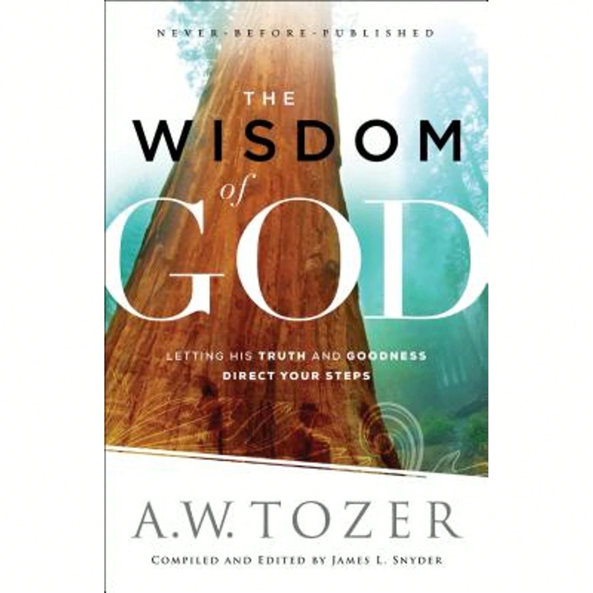 Pre-Owned The Wisdom Of God: Letting His Truth And Goodness Direct Your Steps (Paperback) By A W Tozer, James L Snyder