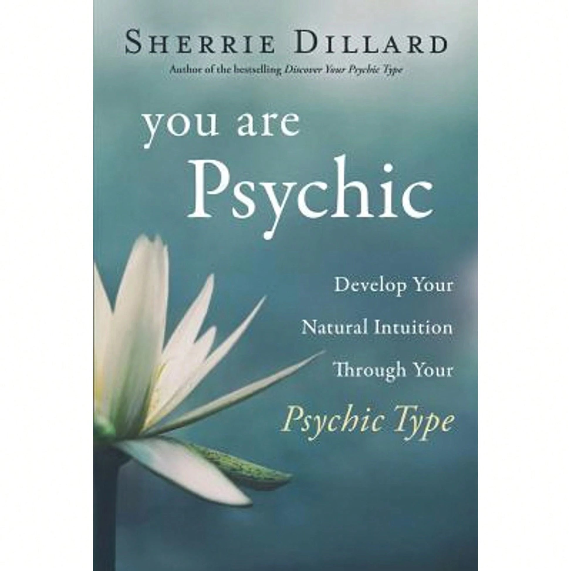 Pre-Owned You Are Psychic: Develop Your Natural Intuition Through Your Psychic Type (Paperback) By Sherrie Dillard